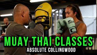 Muay Thai at Absolute MMA