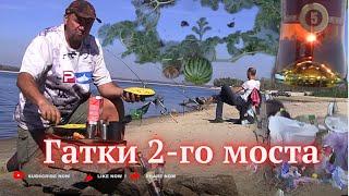 Утро. Осень. Гатки 2-го моста. Рыбалка. Друзья. Запорожье 22 сент 24г.