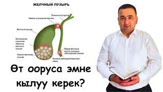 Өт ооруса эмне кылуу керек? Өттүн иштеши тууралуу маалымат Доктор Искендер / Өтү ооругандар үчүн