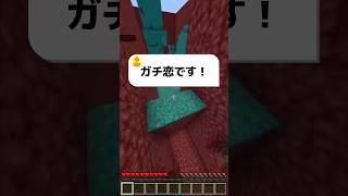 ガチ恋は迷惑⁉️#マイクラ #マインクラフト