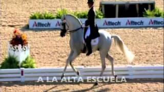 FUEGO DE CARDENAS - Fandangos a un caballo español