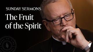 The Fruit of the Spirit - Bishop Barron's Sunday Sermon