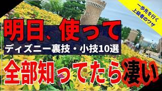 【ディズニー行く前に見て】意外と知られていない裏技・小技10選！知っているだけで最高の１日に！