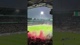 Bayer 04 Leverkusen fans in het Weserstadion in de wedstrijd tegen SV Werder Bremen  #svwb04 #bayer0