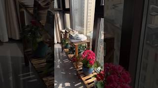 Widen the edges to give more space for growing flowers #balconyplanting #windowWiden the platform