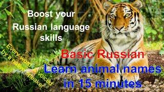 Animal names in Russian. Russian for beginners, basic russian. Russian language.