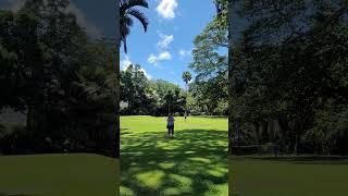 Foster Botanical Garden Honolulu HI #hawaii #botanicalgarden