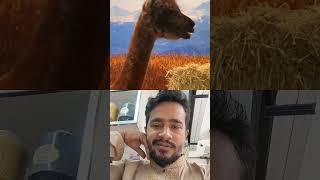 XSpot The Fake Animal For $10,000 subscribe  #mrbeast #amazingnokia #funny #love #mrbeast