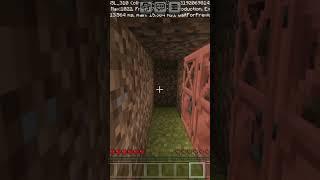 DONT check the sound #minecraft #minecraftmeme #game  #minecraftparody #gameplay