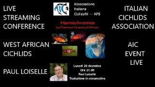 PAUL LOISELLE *HEMICHROMIS Africa's Living Flames* AIC EVENT LIVE* West African Cichlids Conference