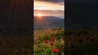 . Beethoven: - Symphony No. 5 in C Minor, Op. 67: I. Allegro con brio