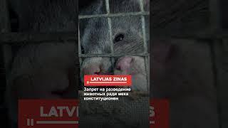 Запрет на разведение животных ради меха конституционен