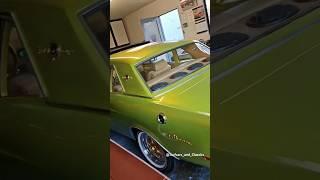 6-9 Falcon on Gold Zeniths & Vogues from Oakland, Ca