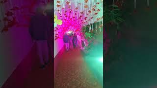 Beauty  | Manish videography #shorts #virel #ytshorts #virelvideo #yt