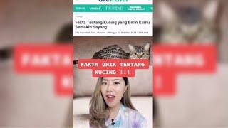 Tiktok Deasi Listiani | FAKTA UNIK TENTANG KUCING