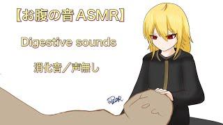 【ASMR】食後のお腹の音