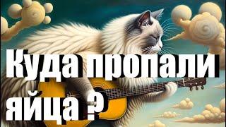 «Куда пропали яйца?» песня кота Мурзика  #коткот #мурзик #кот