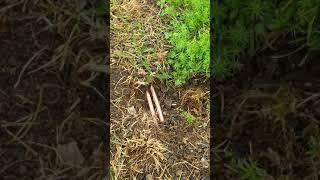 Terrible fibre installation by (name withheld for now)