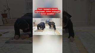 Жасап коргондор барбы? #тойәндері #тойырлары #dance #rek #duet #korg #тренды