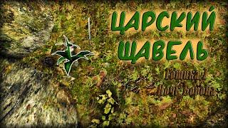 ЦАРСКИЙ ЩАВЕЛЬ. Где найти? / Готика 2 Ночь Ворона \ Гайд