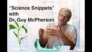 Science Snippets: The Ninth (Probably) and Final Species of Human