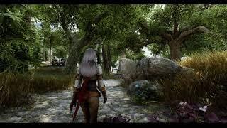 SKYRIM SE 2021 - NEXT GEN GRAPHIC MODS