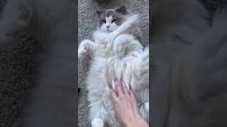 They each wake up in their own unique way