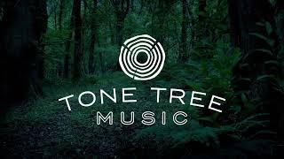 Atmospheric Folk (Compilation) | Tone Tree Music