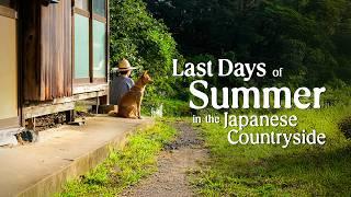 Spend the Last Days of Summer With Us in the Japanese Countryside | Boar Sightings & Firewood