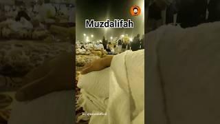 Muzdalifah good Arrangements #muzdalifa #arrangement #shorts @Tariqmajeedofficial