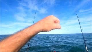 The Pete's Fishing NZ - A Pukehina Snapper 15 Feb 2022