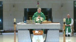 Holy Mass from Knock - 2023-02-05 - Holy Mass from Knock