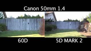 5D vs. 60D sensor comparison