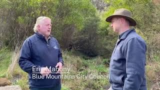 Weed management in the Blue Mountains