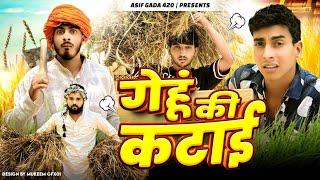 गेहूं की कटाई  | Gehu ki Katayi  | Asif 420 Comedy | Asif Gada 420 | Titla 420