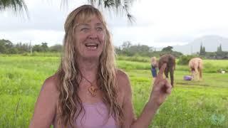 KaiMana Sanctuary's Story