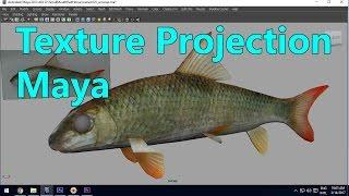 Texture Projection tutorial in Maya for Color Map using Image