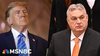 'Dictator worship': Orban visit puts Trump soft spot for dictators on display