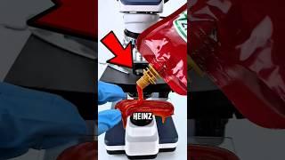 MICROSCOPE: KETCHUP  #shorts #microscope #science #ketchupundermicroscope