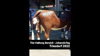 Johanni Tag in HSWT Triesdorf Weidenbach 2022//TierHaltung bereich(Animal Production)