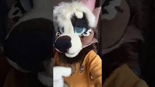 Just a typical guy #cosplay #furry #fursuit #trending #reels