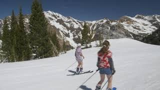 Snowbird Employee Ski Day | Snowbird