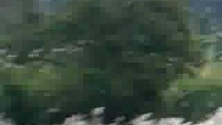 MOTOCROSS PANAMA