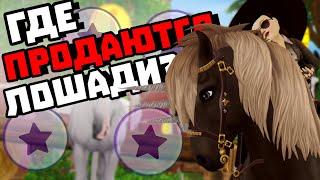 Где Продаются все Лошади? | Все места с продажей Лошадей в 2023! | Star Stable