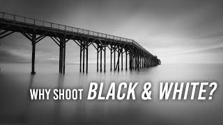 5 Beginner Black & White Photography Tips