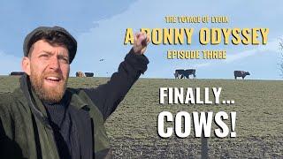 A Bonny Odyssey | E3: COWS & Crossing CHIRK AQUEDUCT | The Voyage of Lydia