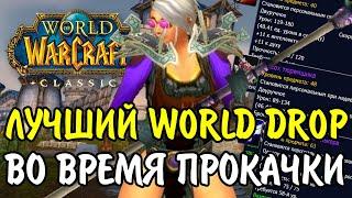 САМЫЙ ИНТЕРЕСНЫЙ WORLD DROP ВО ВРЕМЯ ПРОКАЧКИ В WOW CLASSIC