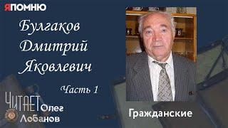 Булгаков Дмитрий Яковлевич. Часть 1. Проект "Я помню" Артема Драбкина. Гражданские.