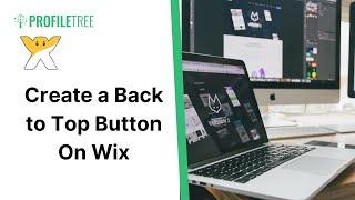 Create a Back to Top Button On Wix | Scroll to Top | Wix Website | Wix Tutorial | Wix for Beginners