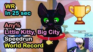 Little Kitty Big City World Record Any% Speedrun 26.017 WR (World's First 26 Seconds) Old Patch 